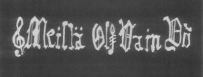 logo Meillä Oli Vain Yö